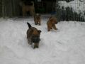 I.5.WocheSchnee178.jpg